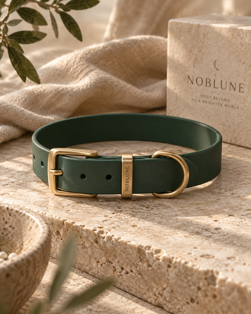 Collier Signature NOBLUNE en Biothane vert forêt avec bouclerie dorée